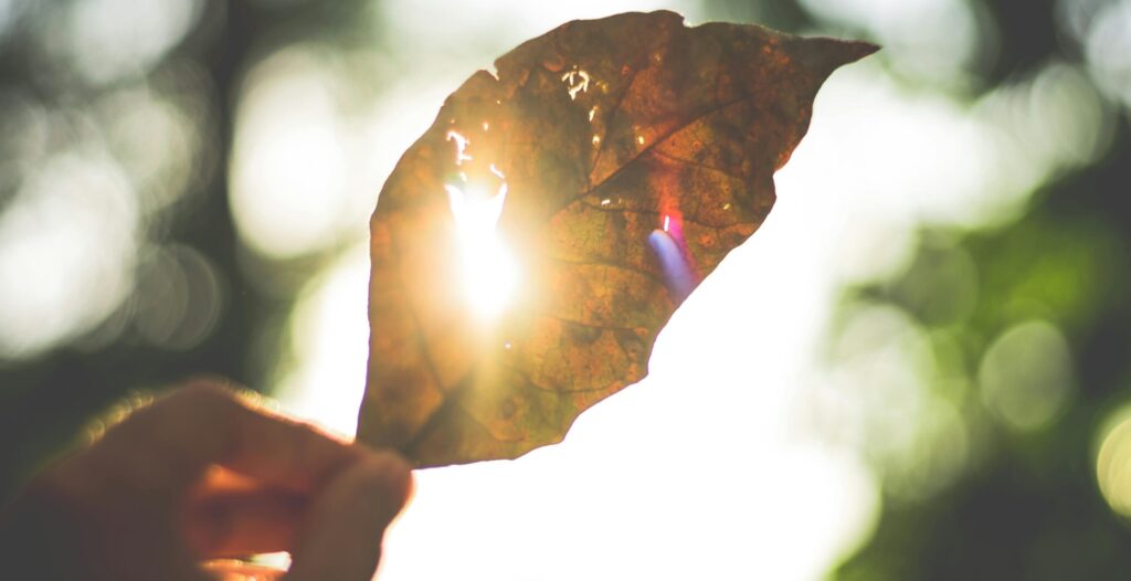 Trusting His Plan: A Journey from Questions to Gratitude